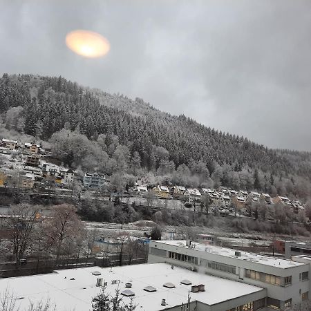 Apartment Wildbad バート・ヴィルトバート エクステリア 写真