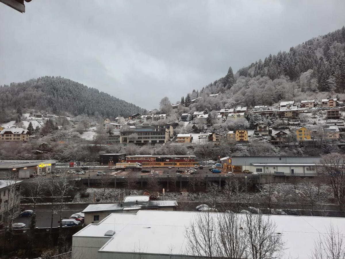Apartment Wildbad バート・ヴィルトバート エクステリア 写真