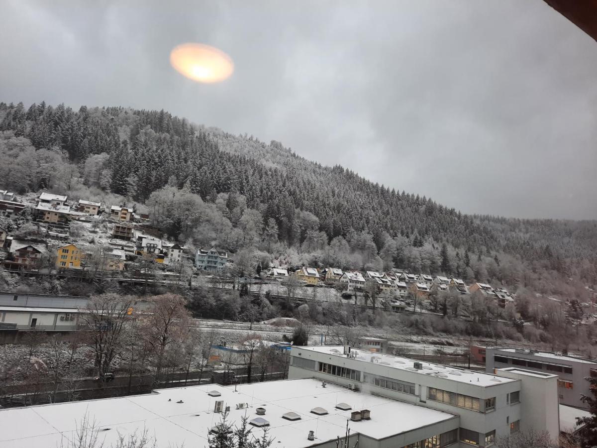 Apartment Wildbad バート・ヴィルトバート エクステリア 写真